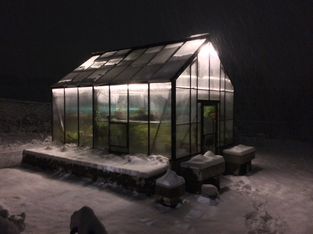 Greenhouse during snowstorm